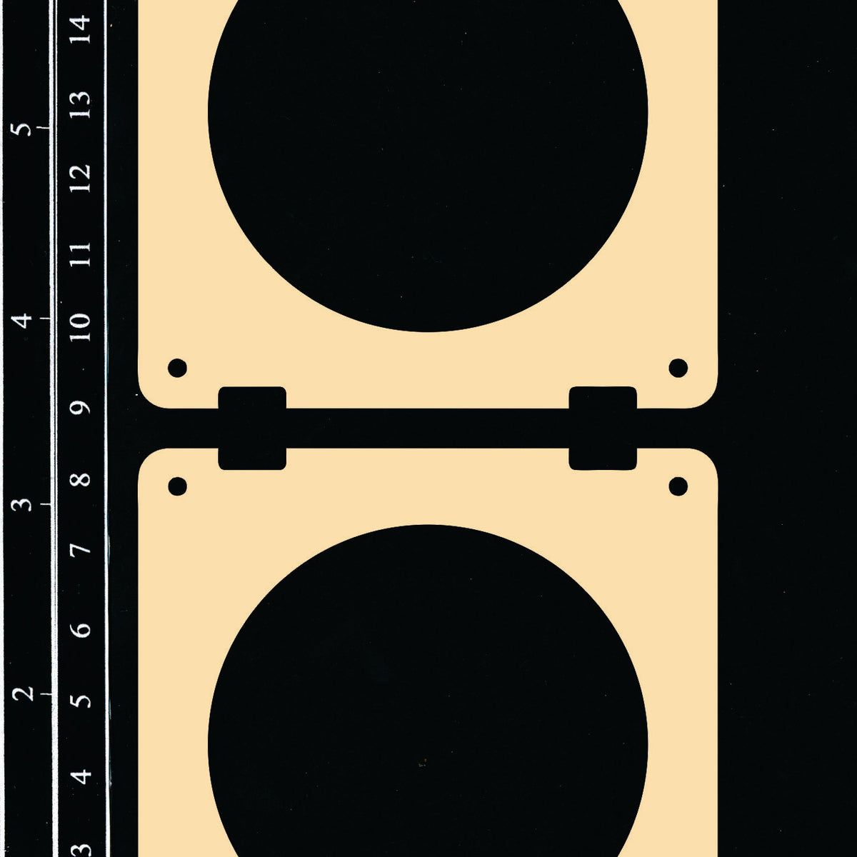 Specimen Slides #10 Large Circle – The Dusty Attic