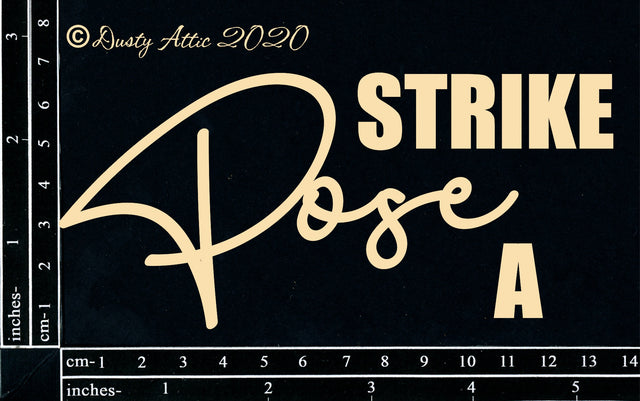 Strike a Pose image 0
