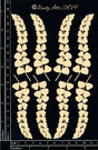 Maiden Hair Fern image 0
