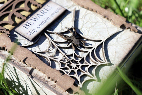 Spider Web #2 image 1