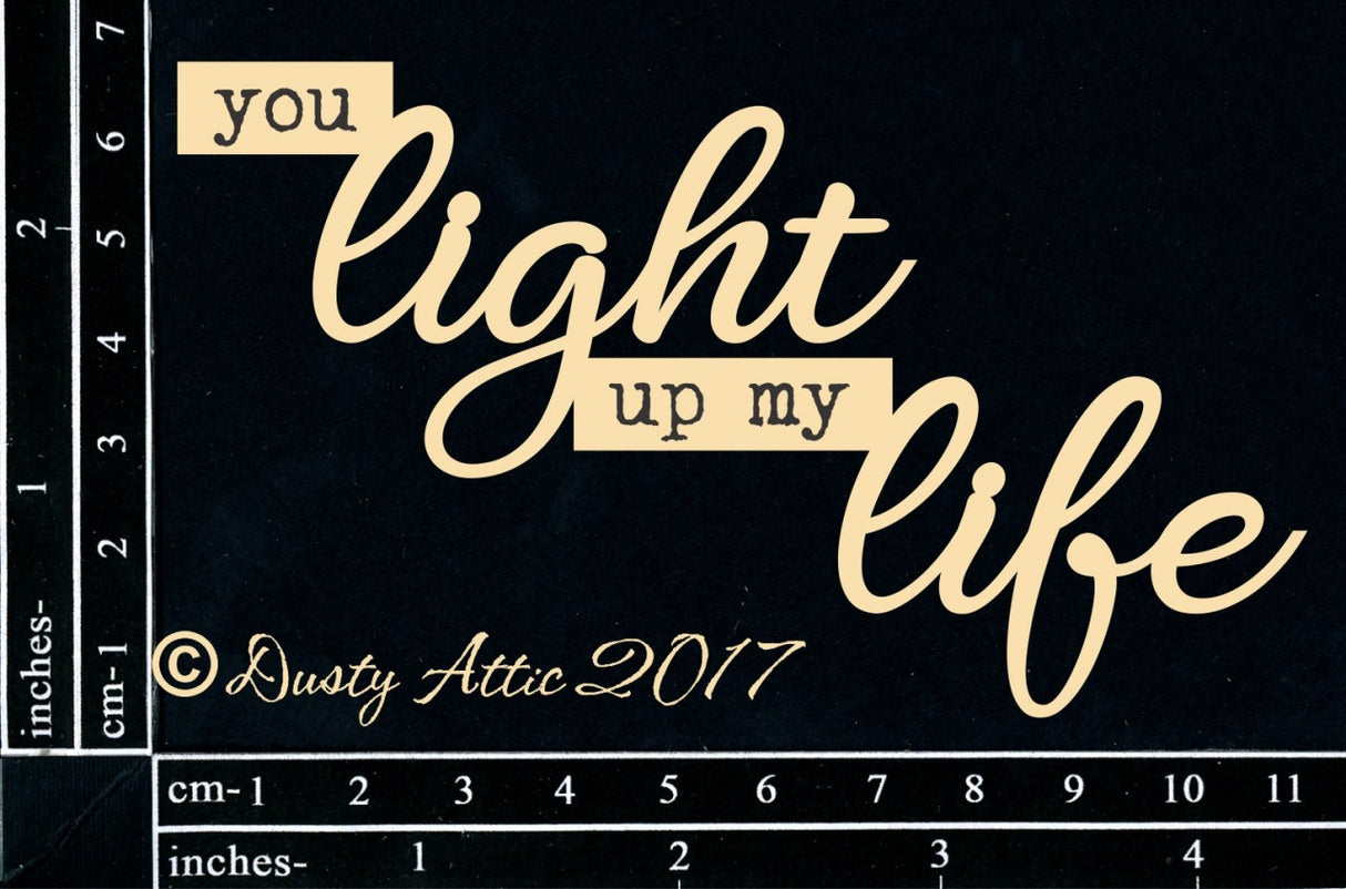 You Light Up My Life image 0