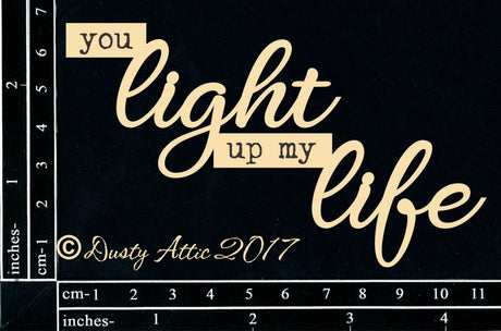 You Light Up My Life image 0