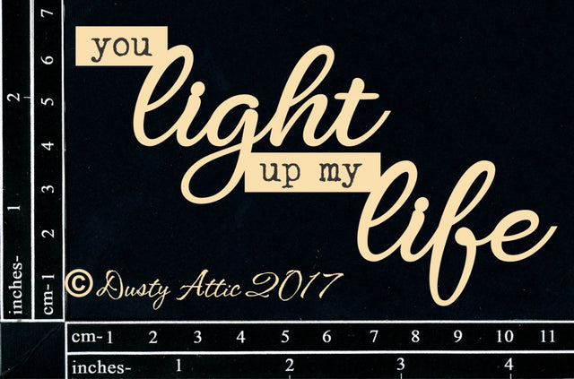 You Light Up My Life image 0