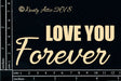 Love You Forever image 0