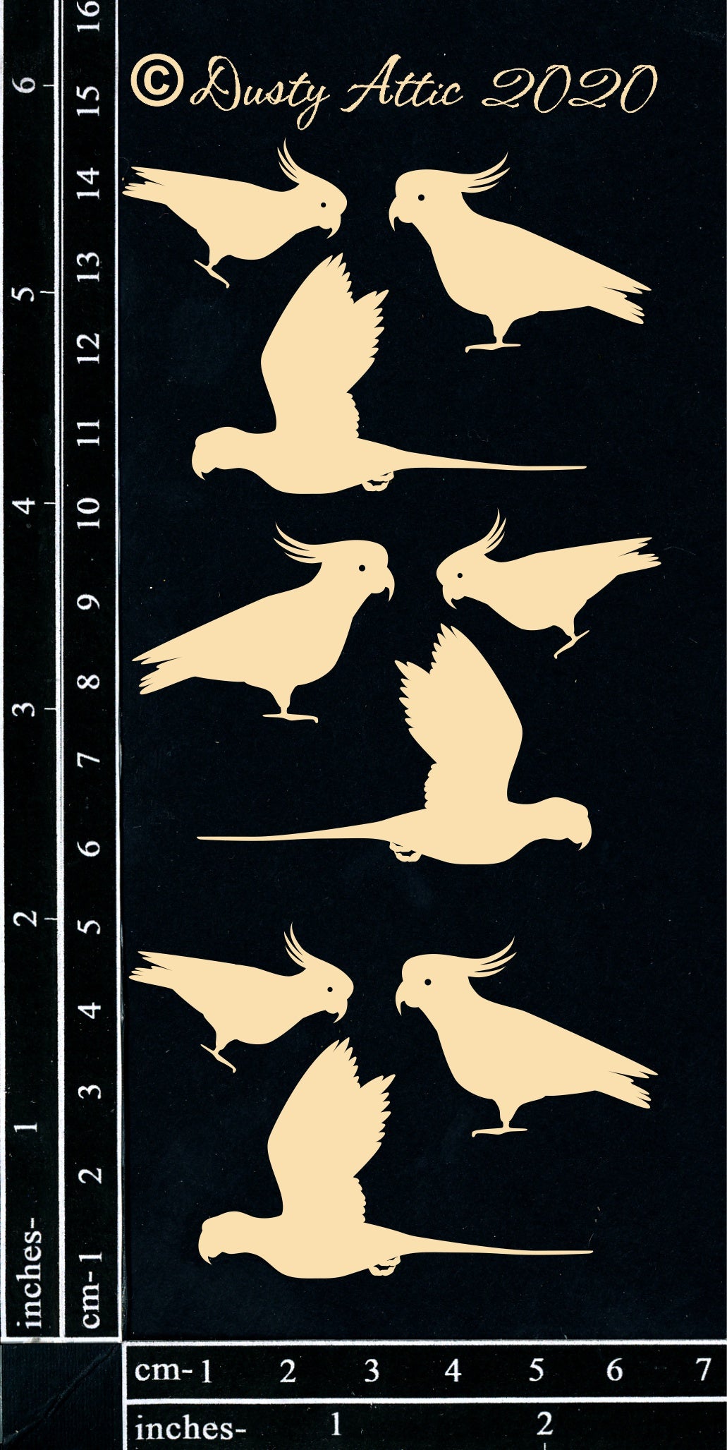Birds #4 image 0