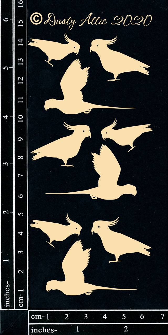 Birds #4 image 0