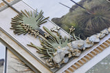 Flax image 2