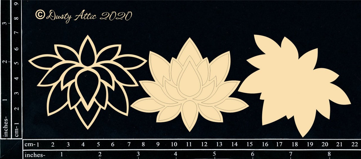 Lotus Medium image 0