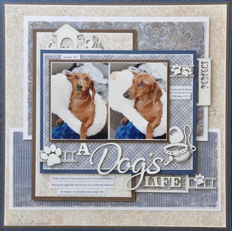 A Dogs Life image 1