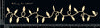 Christmas Light Border #2 image 0