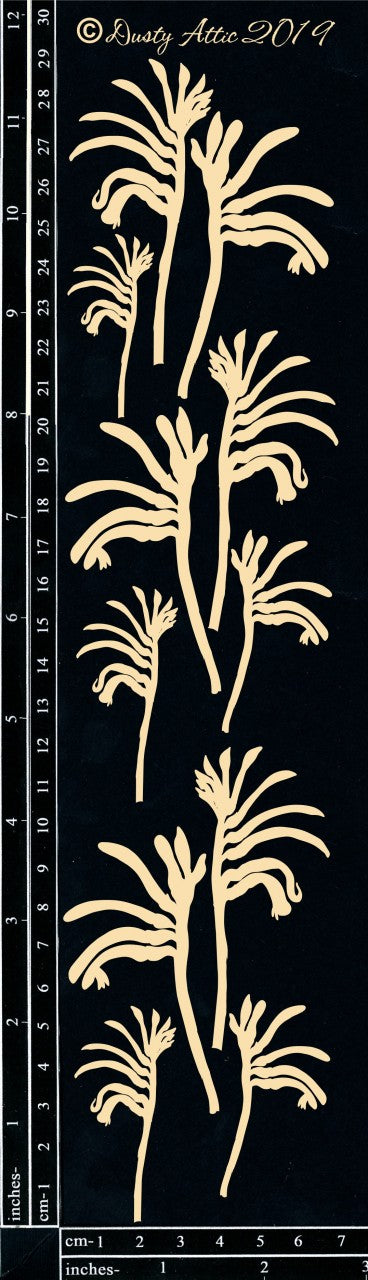 Kangaroo Paw #1 image 0