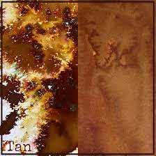 Colour Blast - Colour Shimmer Dust - Tan image 1