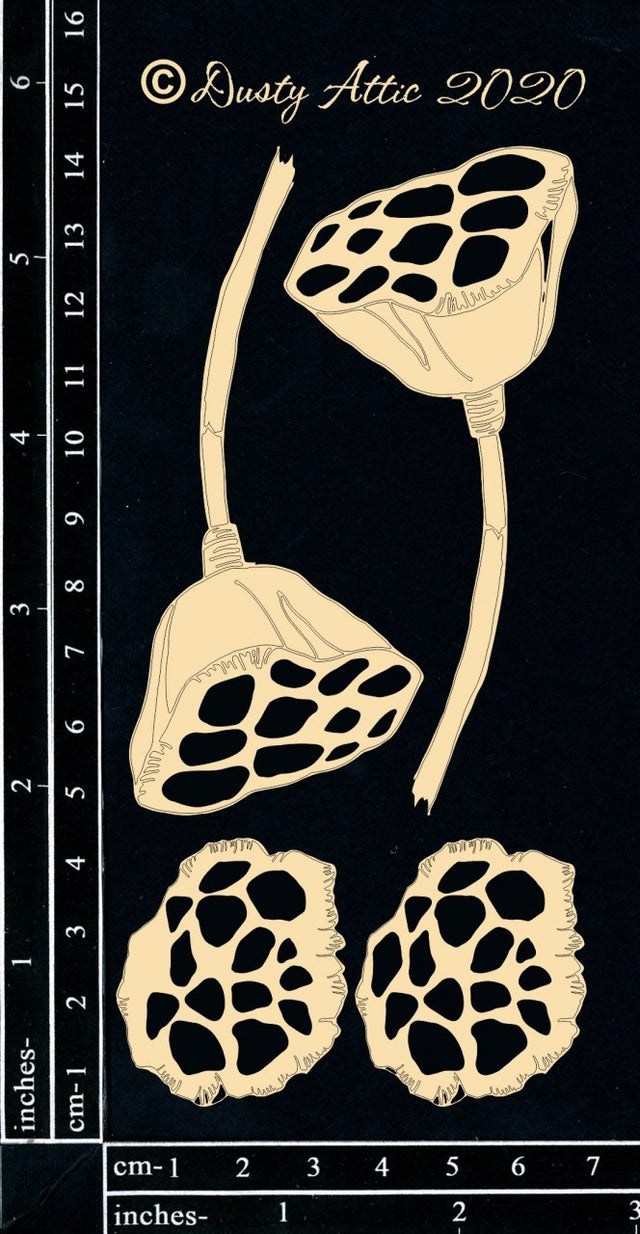 Lotus Pods image 0