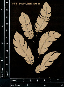 Feathers image 0
