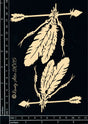 Indian Arrow #1 image 0