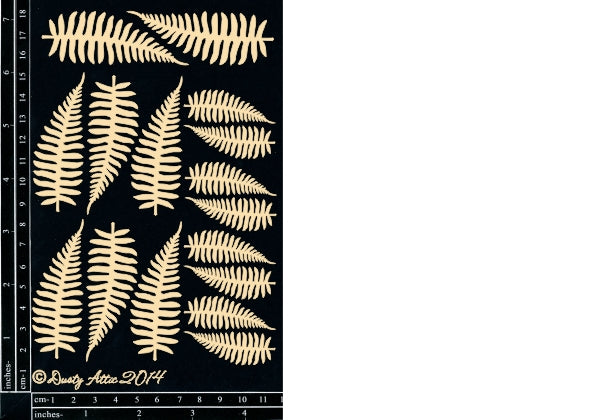 Ferns image 0