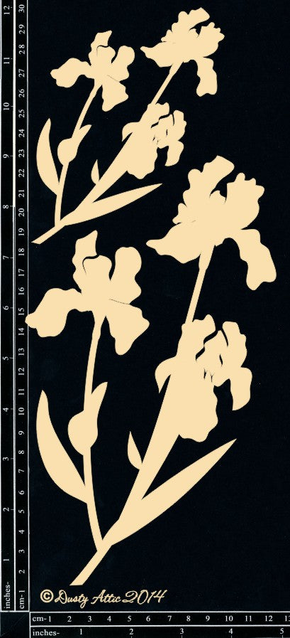 Bearded Iris image 0