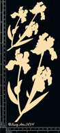 Bearded Iris image 0