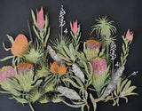 Flax image 4