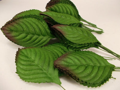Rose Leaves image 0