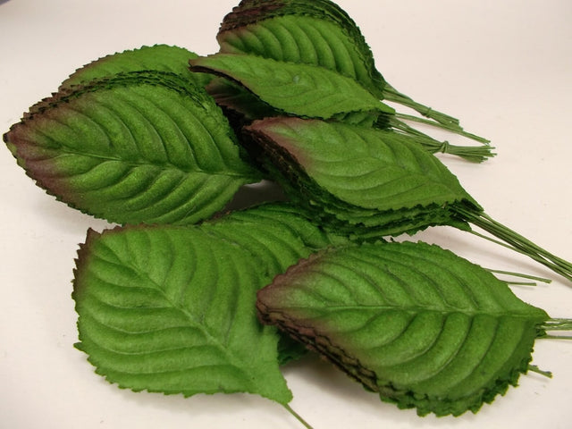 Rose Leaves image 0