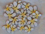 Frangipani small image 1