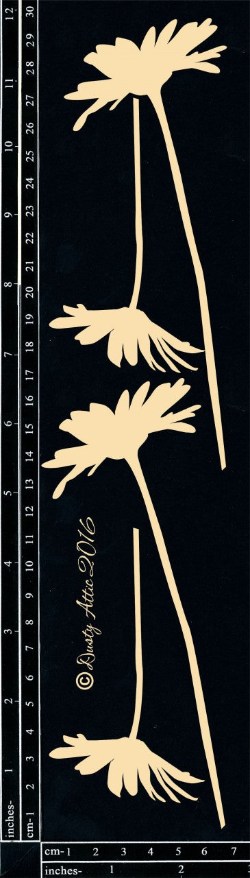Daisies image 0