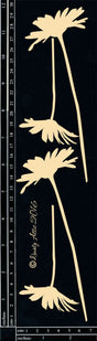 Daisies image 0