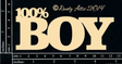 100% BOY image 0