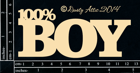 100% BOY image 0