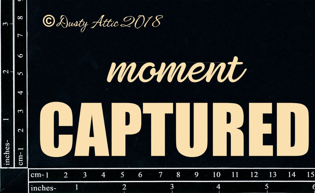 A Moment Captured image 0