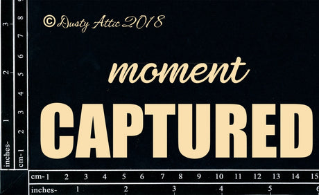 A Moment Captured image 0
