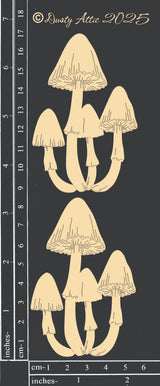 Toadstool Cluster