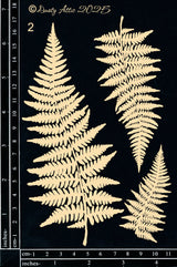 Ferns #2