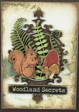Forest Friends - Mixed
