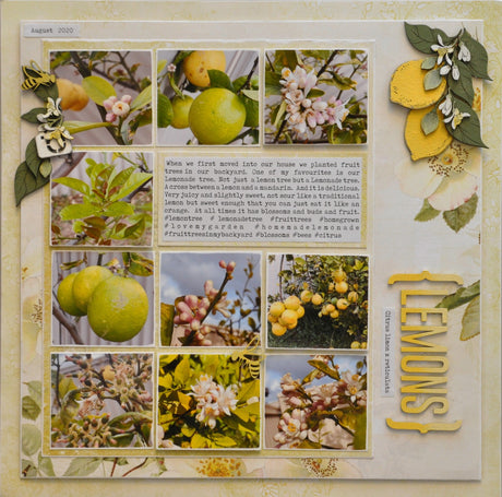 Lemons image 1