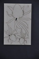 Banksia #3 image 1