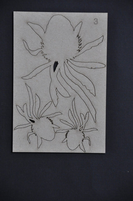 Banksia #3 image 1