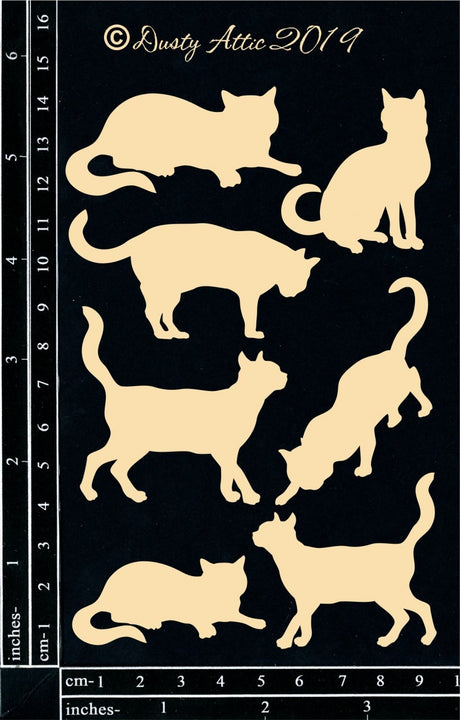 Cats image 0