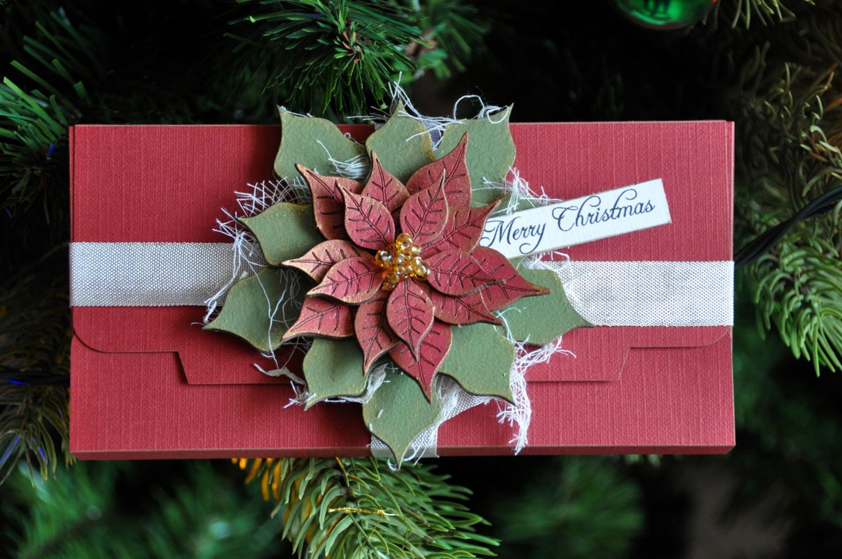 Poinsettia image 3