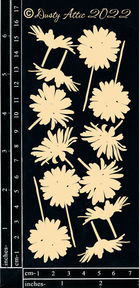 Daisies small image 0