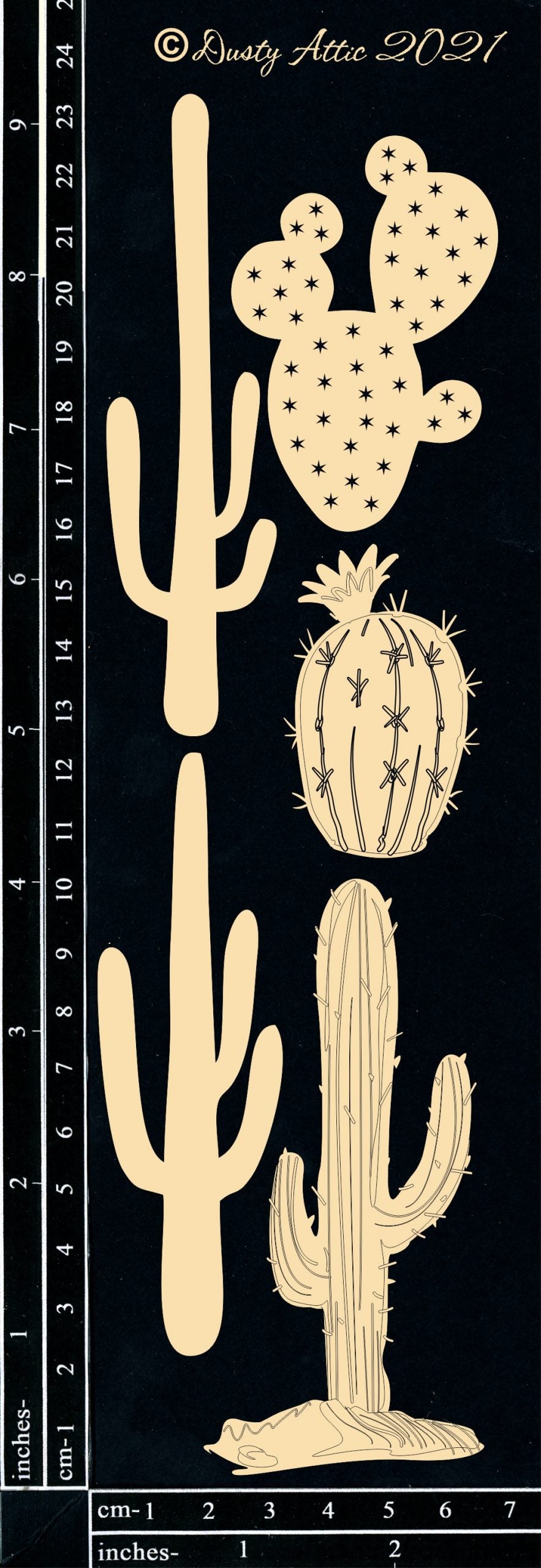 Cactus Mixed image 0