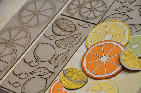 Citrus Slices image 1