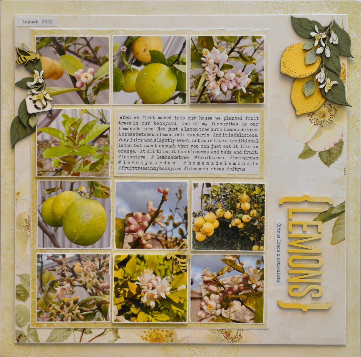 Lemon Leaves & Blossoms image 1