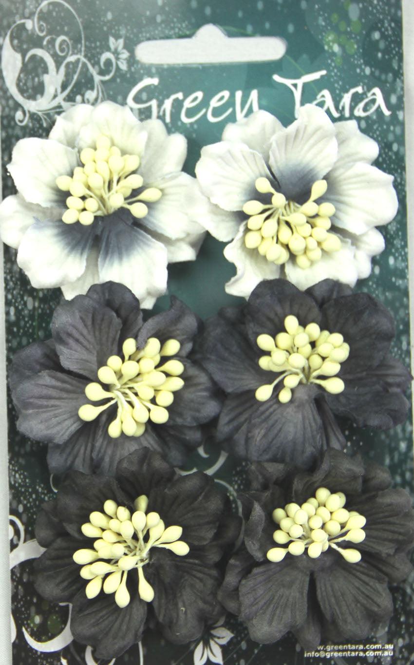 Azaleas - Black/White image 0